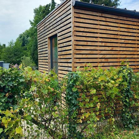 Lodge Au Vent Savigne-l'Eveque Εξωτερικό φωτογραφία
